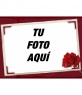 Rosas rojas, marco para fotos