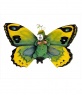 Fotomontaje de disfraz de mariposa para niños pequeños para poner su foto
