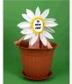 Fotomontaje para niños de disfraz de flor en una maceta