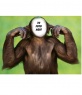 Fotomontaje de mono que no escucha, muy divertido! pon una cara a este chimpancé