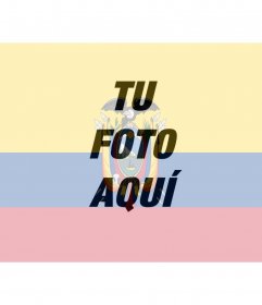 Haz tu fondo con la bandera de Ecuador,