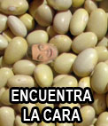 Juego: encuentra la cara en los granos de comida 252