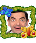Marco para fotos de mariposas con fondo