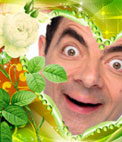 Pon tu foto de fondo con este marco para fotos en forma de corazón acompañado de