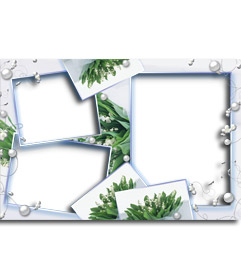 Marco para dos fotos con fondo de flores verdes y perlas