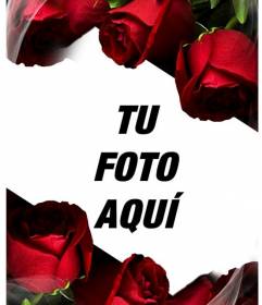 Marco amoroso para poner una foto. Ideal como recuerdo de San Valentín o Sant Jordi.  Se ven 6 flores rojas, rosas sin espinas y un efecto de brillo de seda o gasa que da aún más sensación de suavidad a la 