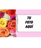 Postal con rosas de colores