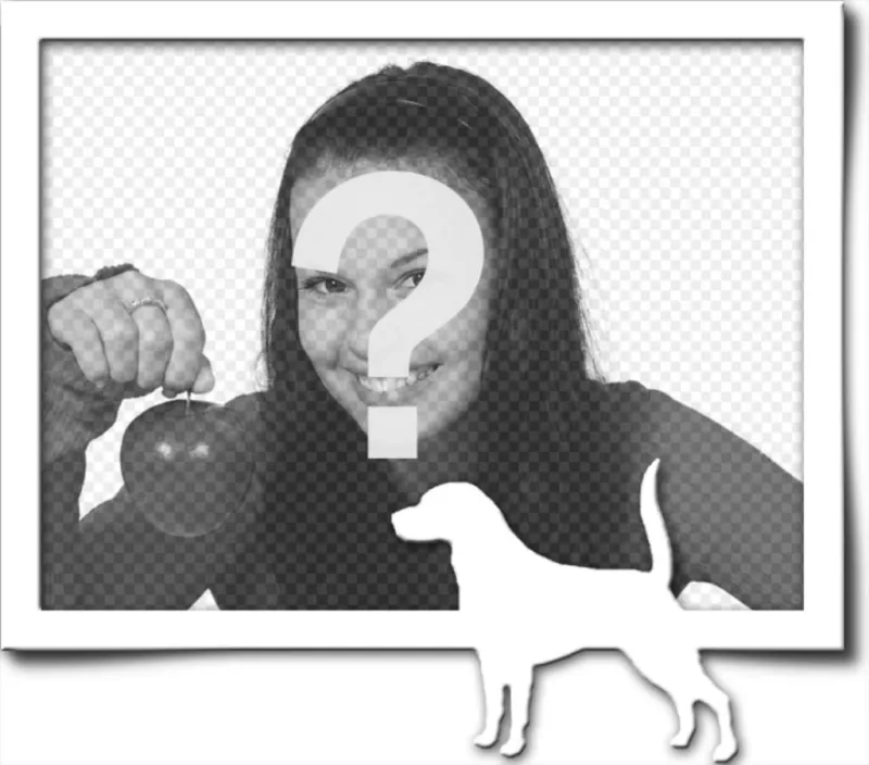 Marco para una fotografía digital, que consta de un borde gris y la silueta en blanco de un perro con el rabo levantado, como si hubiera encontrado un..