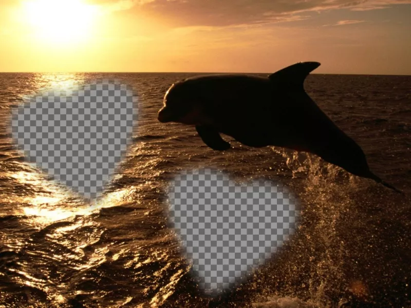 Tarjeta personalizable para dos fotos en forma de corazones y un delfín. ..