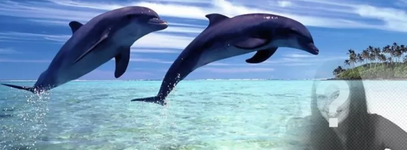 Foto de portada para Facebook con fondo de delfines saltando personalizable con tu..