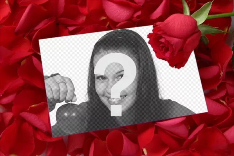Pon una foto en una Carta de amor con una rosa y fondo de pétalos de rosa. ..