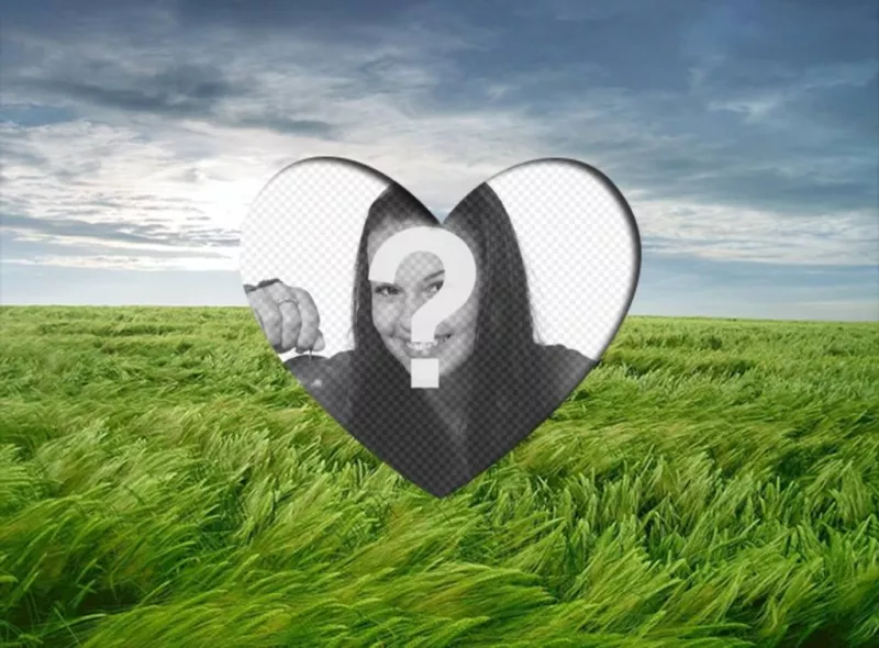 Marco de amor para poner una fotografía romántica con forma de corazón sobre un paisaje con un campo de trigo verde y cielo..