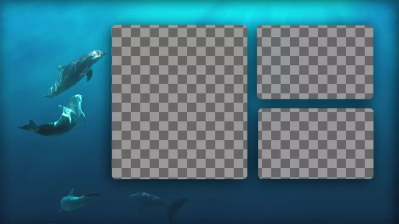 Collage de 3 fotos con un fondo azul con delfines en el..