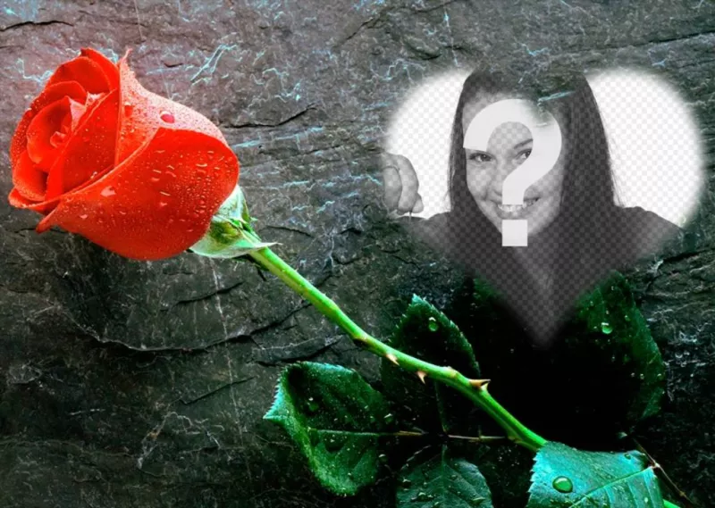 Pon una foto dentro de un corazón con una rosa al lado con este foto efecto de amor que podrás enviar como..