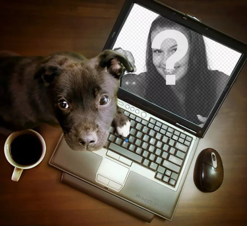 Collage con un cachorro jugando en un ordenador, donde puedes poner tu fotografía. ..