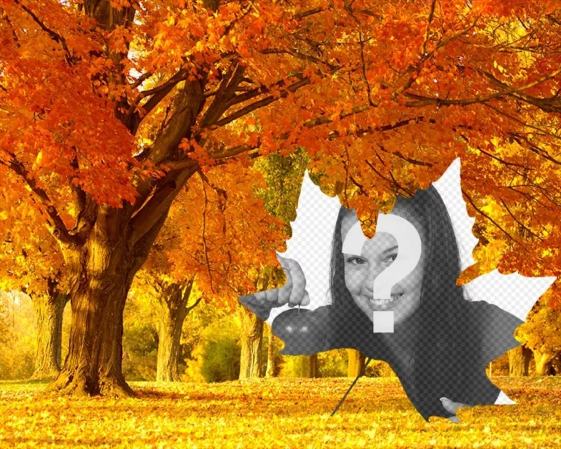 Foto collage de otoño con un fondo de árboles y un marco en forma de hoja. ..