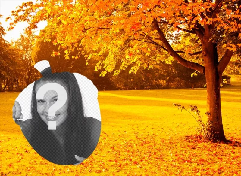 Árboles de otoño dorados con marco de foto en forma de bellota. ..