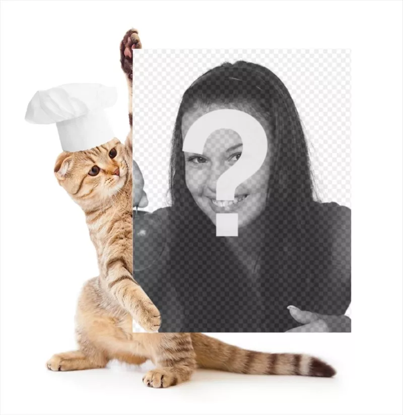 Fotomontaje de gato vestido de cocinero aguantando tu fotografía. ..