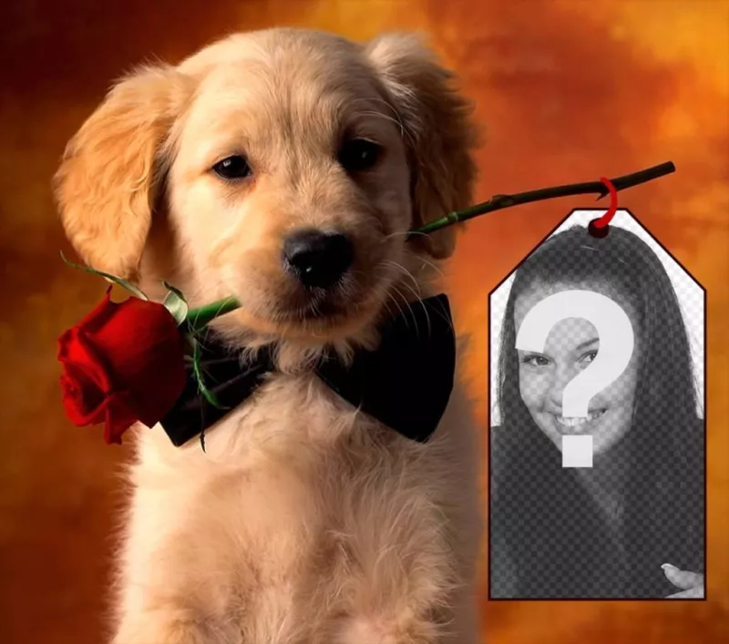 Fotomontaje con un cachorrito para poner tu foto en una tarjeta sujetada por el perrito. ..
