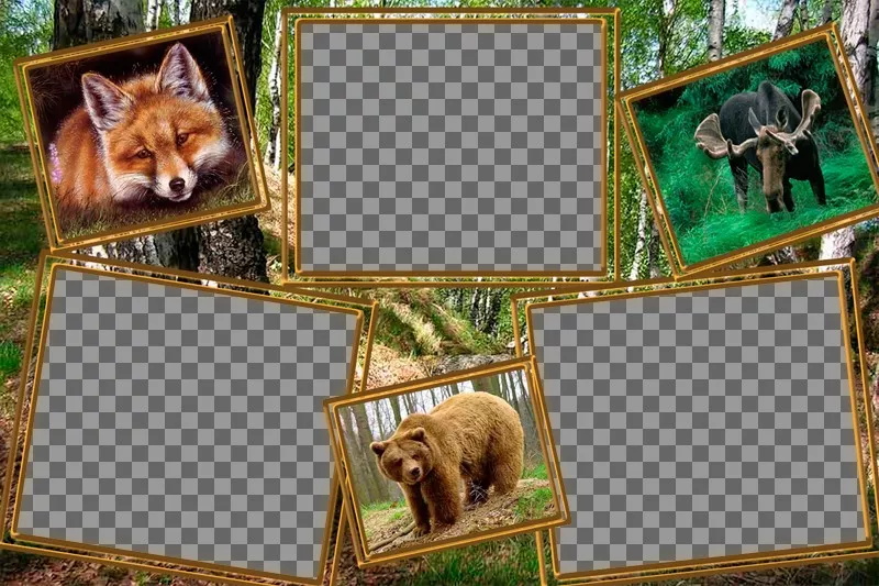 Collage de animales para editar con tres fotos tuyas. ..