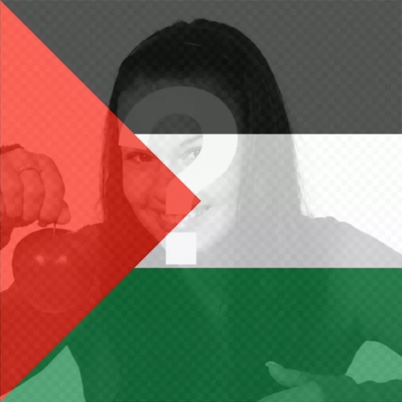 Filtro de la Bandera de Palestina para poner en tu foto. ..