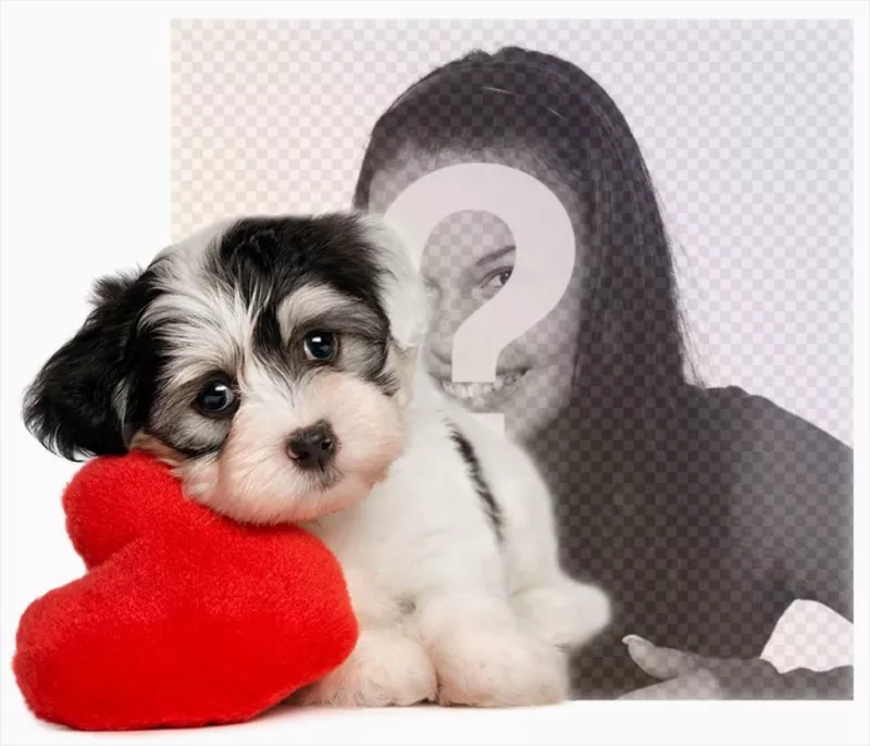 Fotomontaje de un cachorro con un corazón para tu foto ..