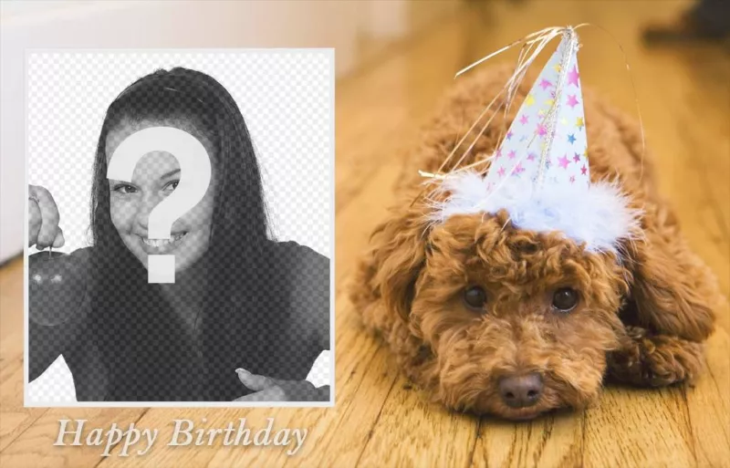 Fotomontaje de cumpleaños con un perro para tu foto ..