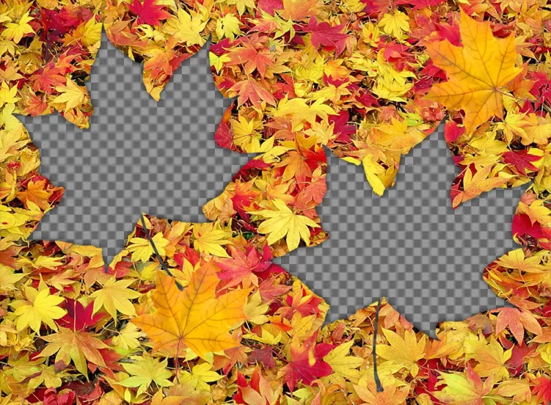 Escóndete bajo las hojas caídas con este efecto para dos fotos ..