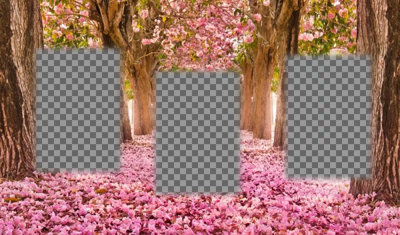 Collage gratis para editar con tres fotos y añadirlas a un paisaje floreado ..