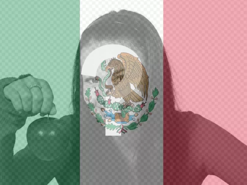 Foto montaje de la Bandera de México para poner en tu foto. ..