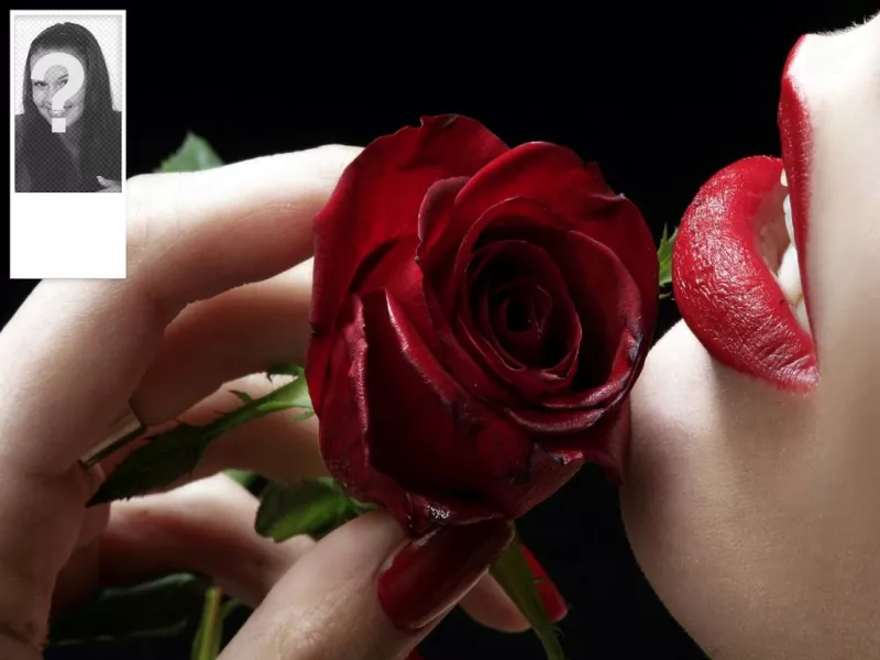 Romántico fondo para twitter con una rosa roja. Personalizable con tu propia..