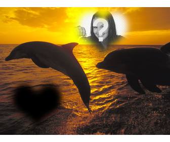 collage fotos forma corazon delfines saltando