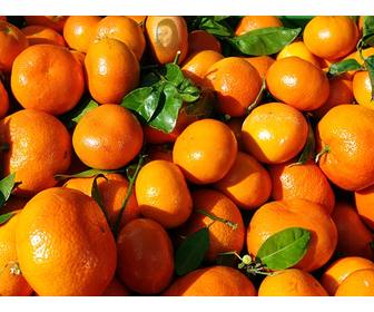 juego educativo encontrar cara naranjas aprender comer sano
