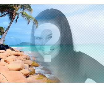 collage playa paradisiaca agua azul palmeras poner foto personalizar un texto