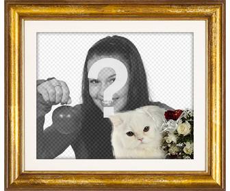 marco fotos dorado un gato blanco persa rosas rojas blancas poner foto amor novio o novia