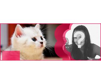 cabecera facebook personalizada un gato blanco flor rosa poner fotografia texto quieras