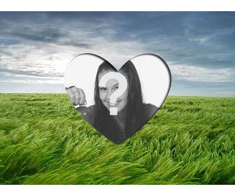 marco amor poner fotografia romantica forma corazon un paisaje un campo trigo verde cielo azul