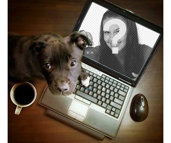 collage un cachorro jugando un ordenador puedes poner fotografia