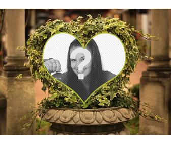 collage online arbol hiedra forma corazon fuente piedra