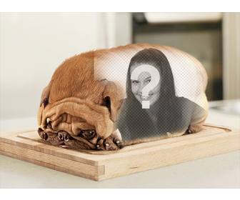 perro forma pan molde lomo poner fotografias