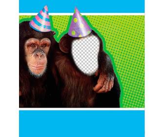 fotomontaje un mono disfrazado un gorro fiesta