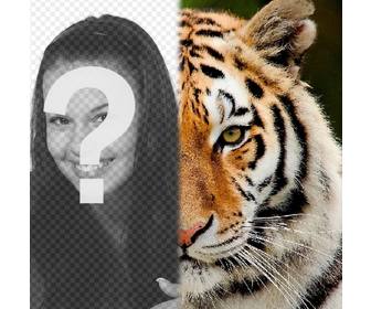 fotomontaje mitad cara un tigre