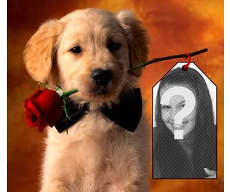 fotomontaje un cachorrito poner foto tarjeta sujetada perrito