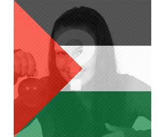 filtro bandera palestina poner foto