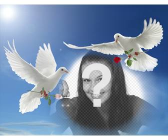 fotomontaje paz palomas blancas volando