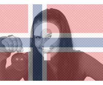 filtro bandera noruega imagenes gratis