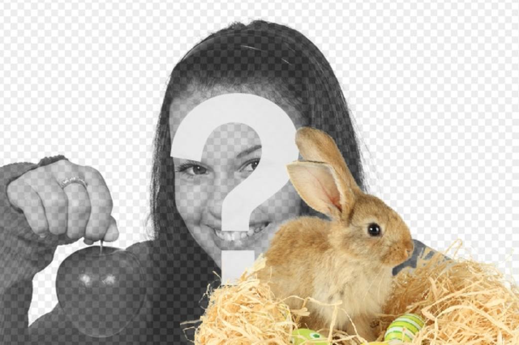 Fotomontaje con un conejo y huevos de pascua para agregar a tus fotografías online y..