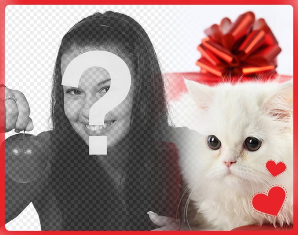 Postal romántica con un gatito blanco persa con corazones delante de una caja de regalo y la foto que subas..