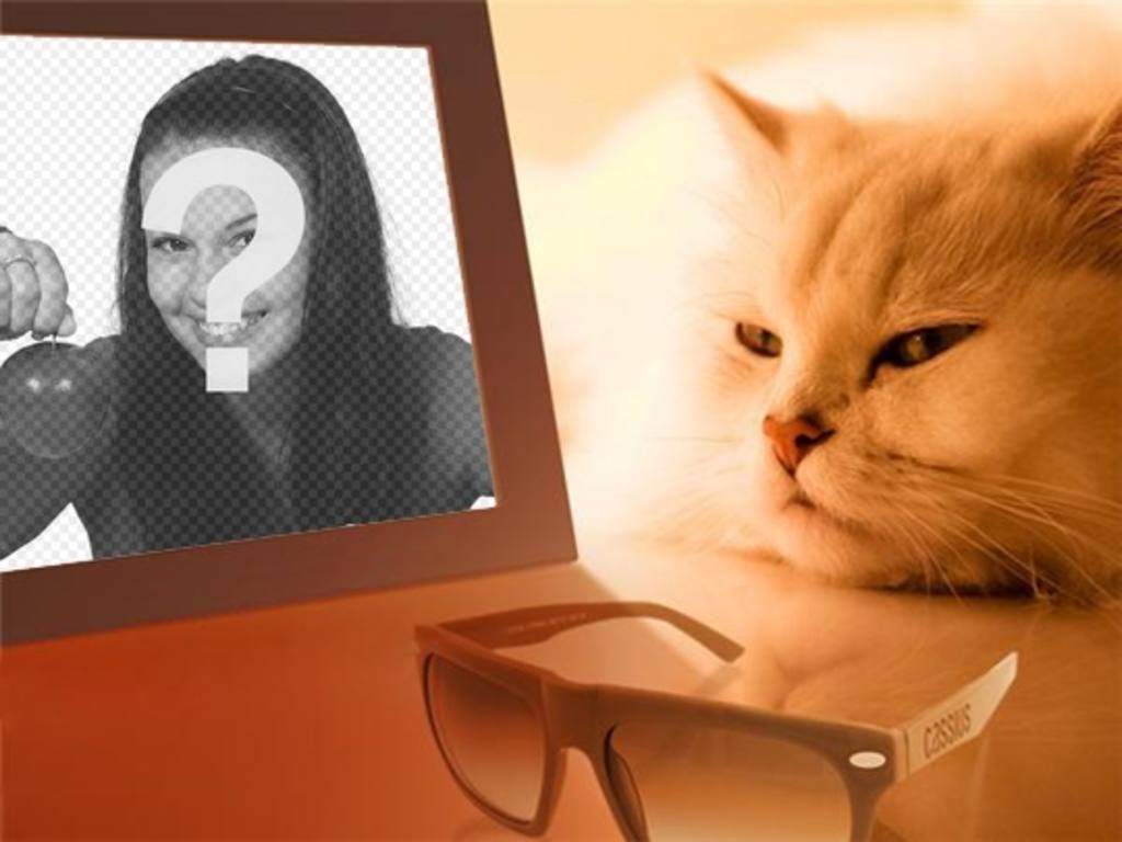 Fotomontaje de un gato aburrido viendo tu foto en el que podrás poner la imagen que..