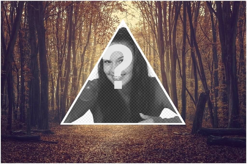 Fondo de collage triangular con aire hipster en un fondo de árboles. ..